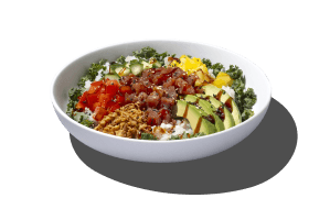 Teriyaki chicken meal